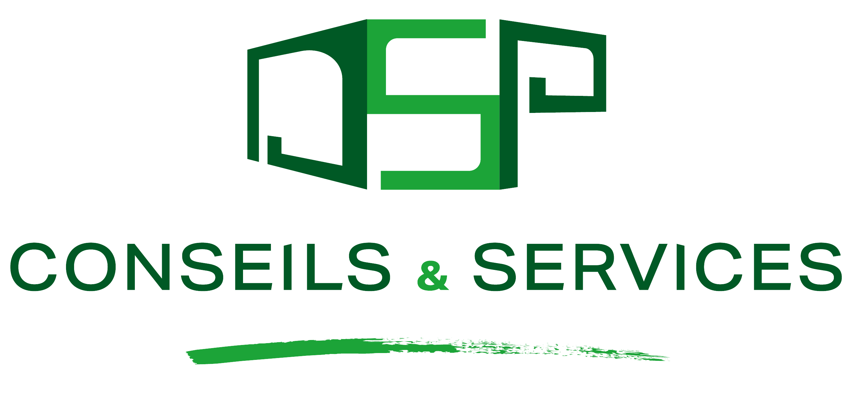 DSP-CS